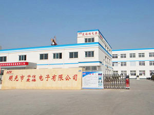 AFE Electronics in 2010
